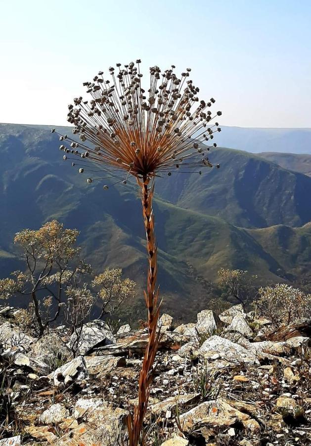 Pousada Perola Mineira Piuí Exteriér fotografie